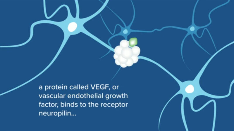 Screen Shot 2020 10 05 at 4.48.55 PM