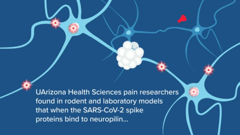 Screen Shot 2020 10 05 at 4.49.10 PM