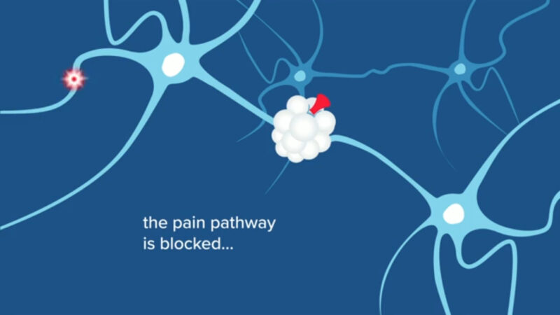 Screen Shot 2020 10 05 at 4.49.21 PM