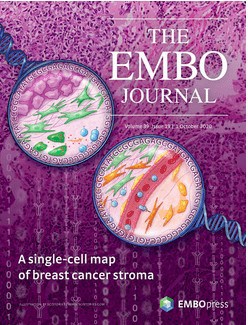 Screen Shot 2020 10 06 at 9.50.44 PM