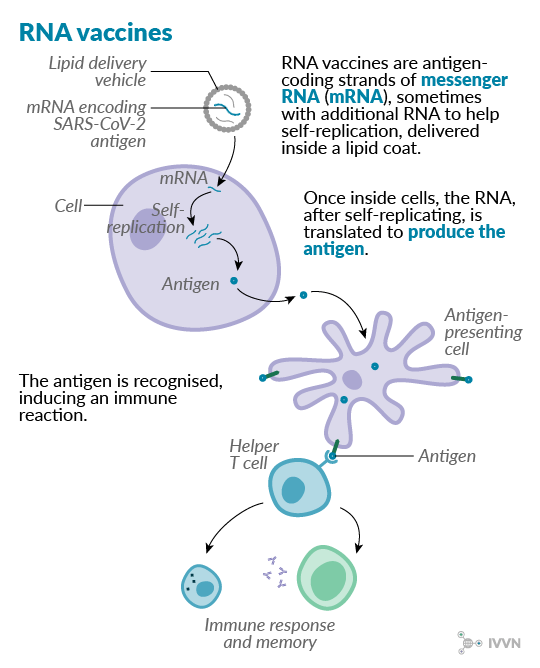 9 RNA 2