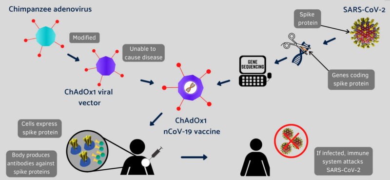 Screen Shot 2020 11 17 at 1.51.55 PM