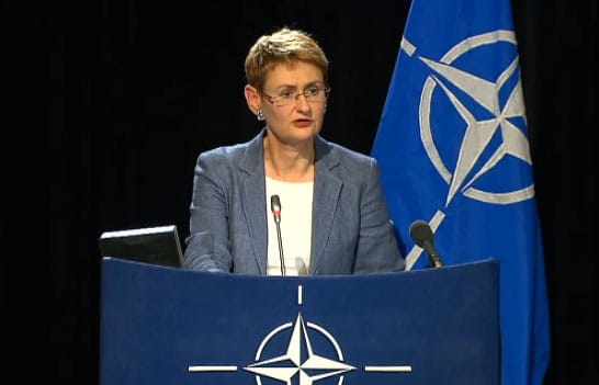 Oana Lungescu.