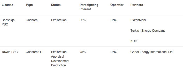 شركة دي أن النرويجية تشتري حصة أكسون موبل ألامريكية في أقليم كردستان 4 1 27