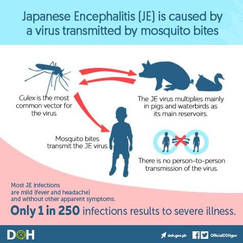 21314593 1709763445701567 4389493826546397559 n