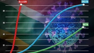 261621303_4930495750296299_3263020907236463048_n
