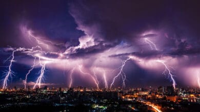(Credit: Vasin Lee/shutterstock)
