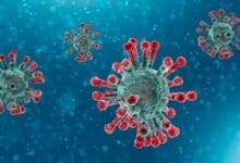 coronavirus