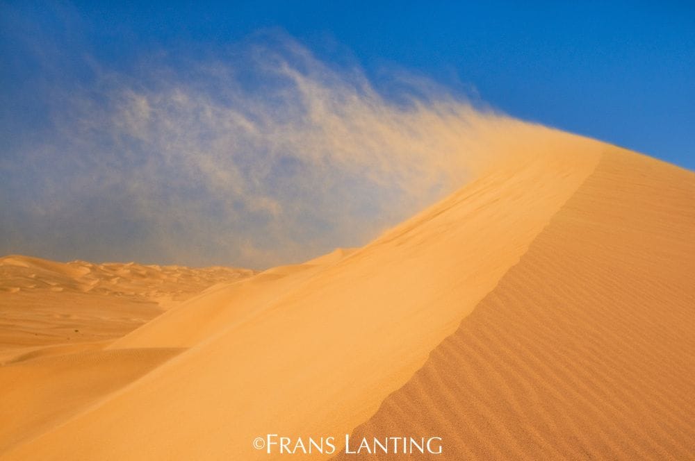 1994c586908c9d2e33919a81f958d3e4