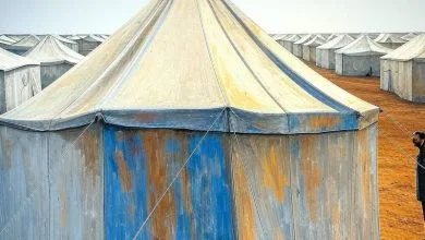 متى وكيف تنتهي مأساة مخيم الهول في سوريا، خصوصا بعد سقوط نظام بشار الأسد! 9 camp1