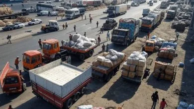 هل هذا ما تُخطط له الإدارة الأمريكية وإسرائيل لقطاع غزة؟ مركز تصدير وإستيراد في الشرق الأوسط! 9 images