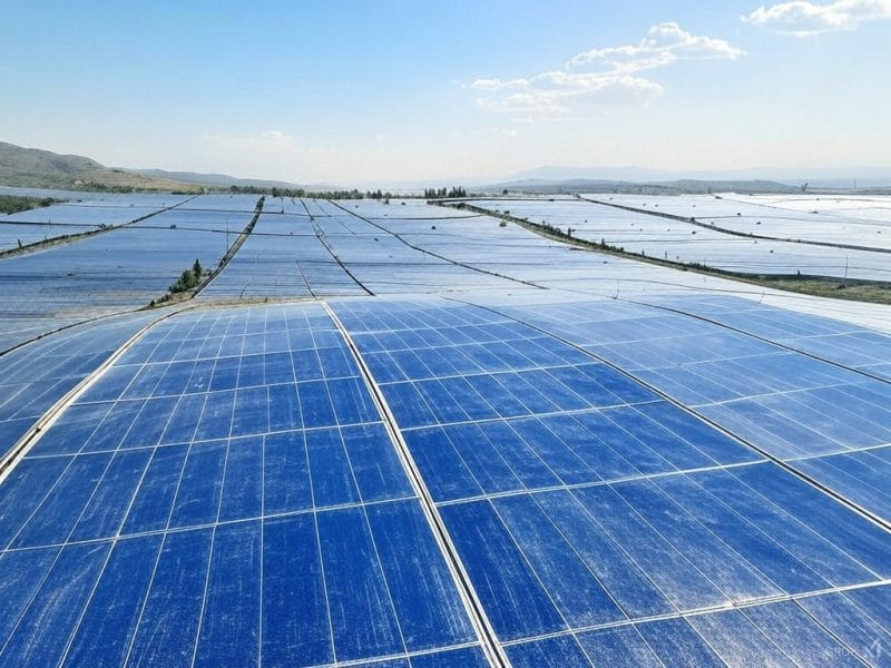 Solar panels in green field